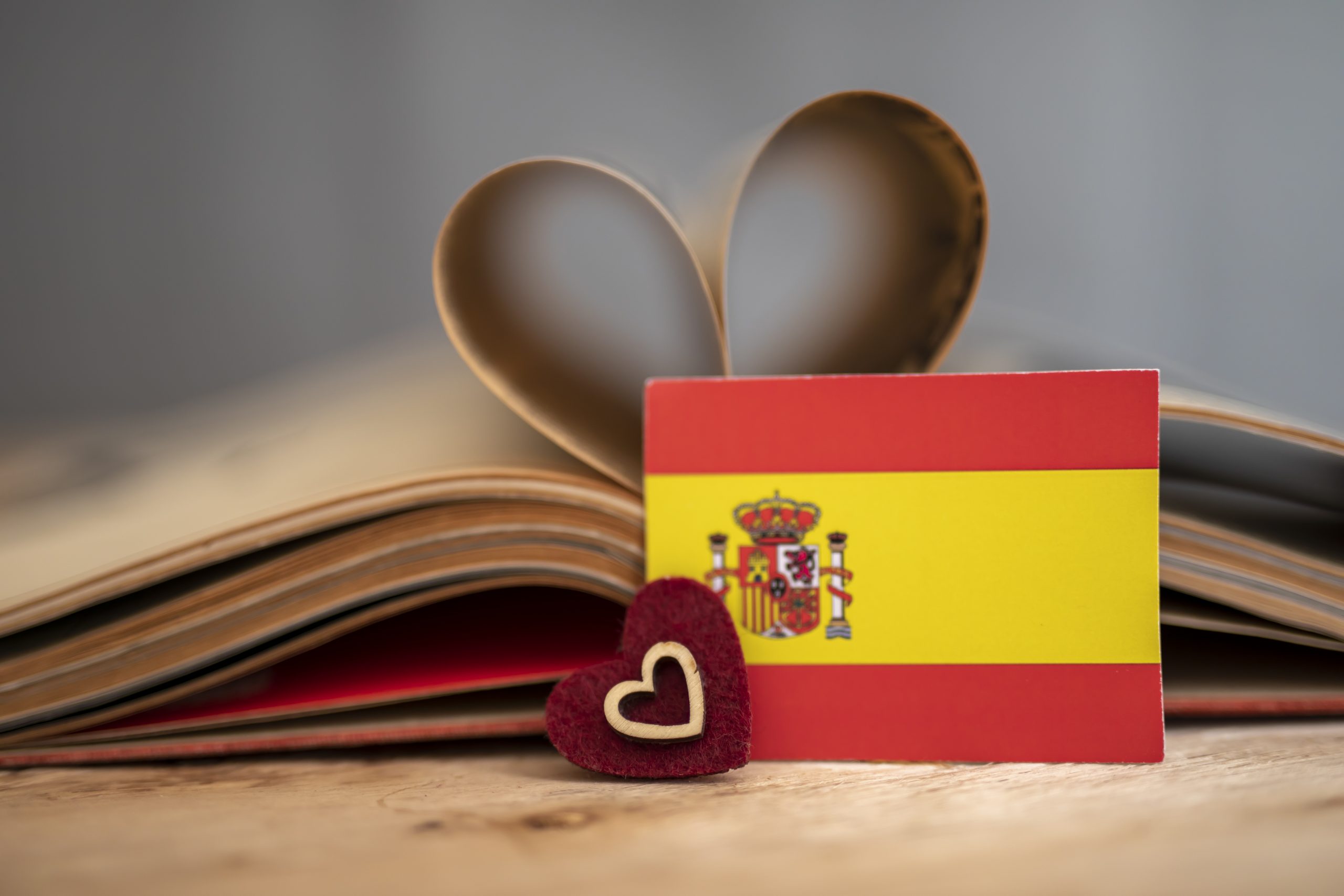 Spanish Courses My Language Hub Education
